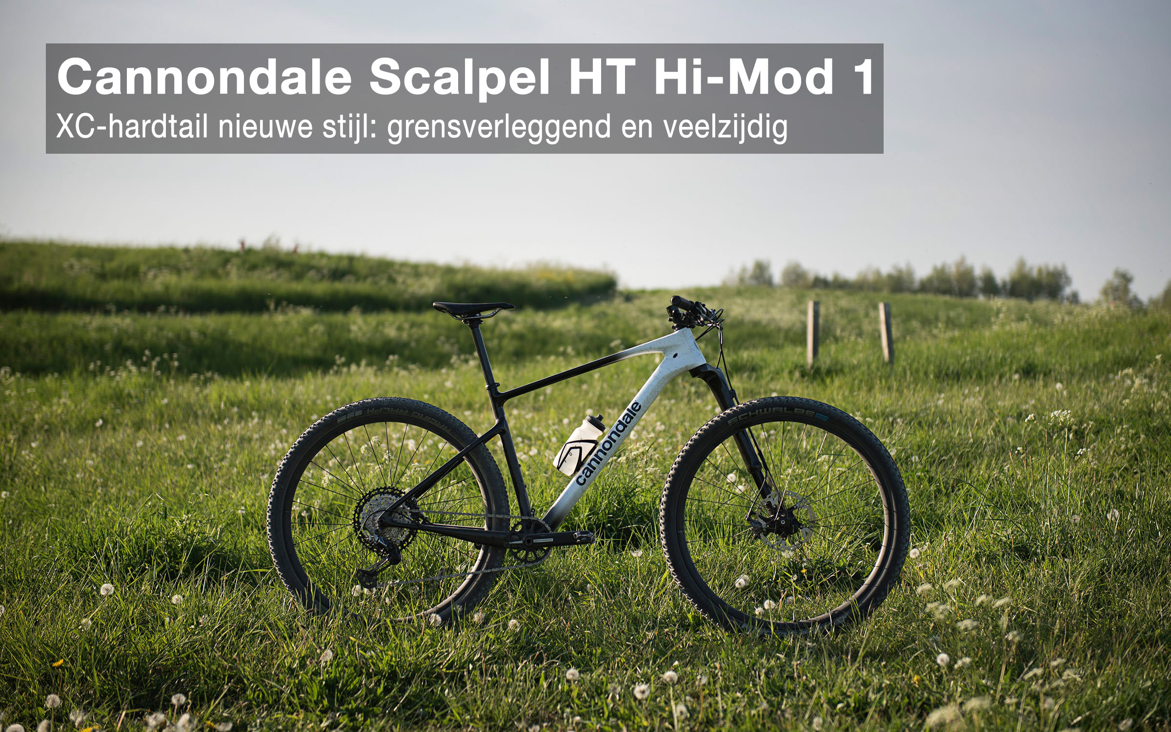 cannondale scalpel ht