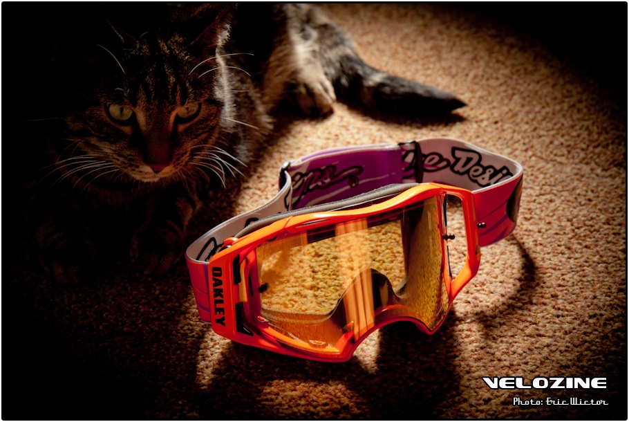Oakley_Airbrake_MX_2