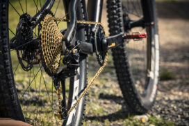 SRAM_Eagle_b