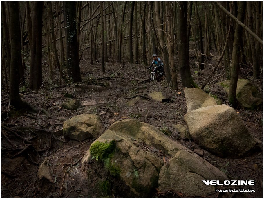 Portugal mountainbike Algarve en Sintra