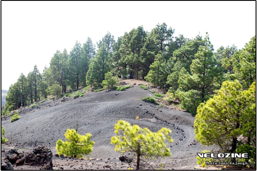 lapalma04