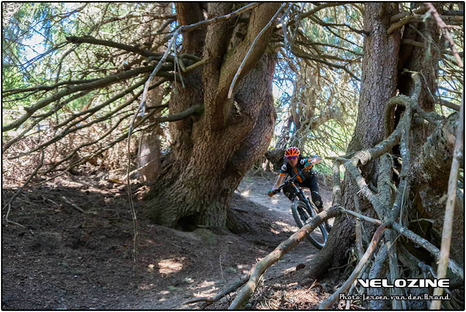 MTB Verbier Mountainbike trailhunting