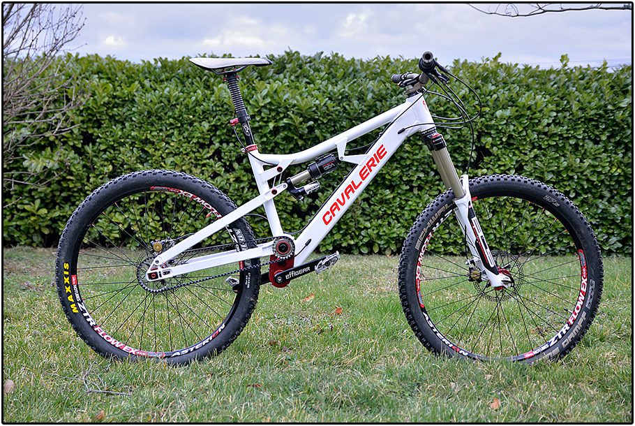 Cavalarie_Effigear01