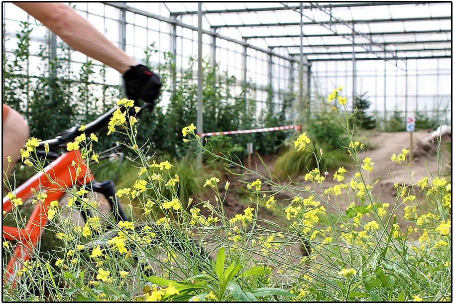 Indoor Mountainbike Park Almere