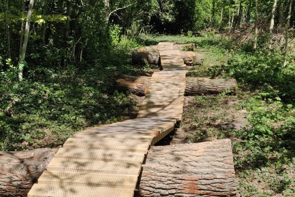 Boomstammen en vlonders