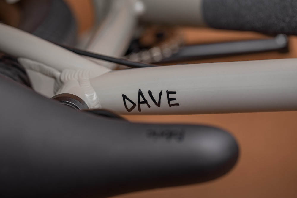 Cannondale Dave details