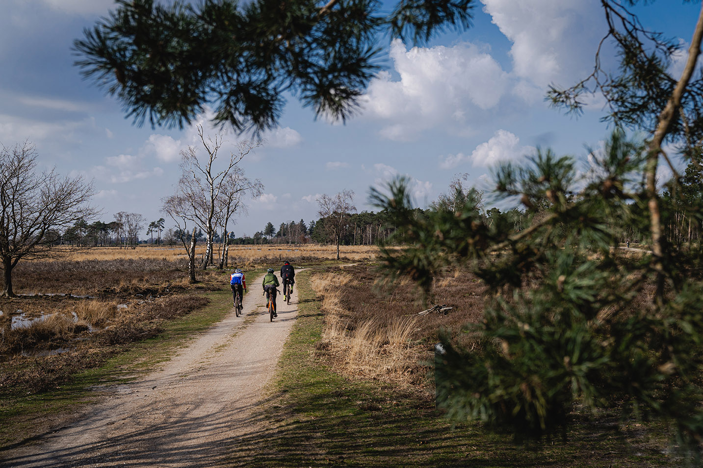 Golden Gravel Series Heeze