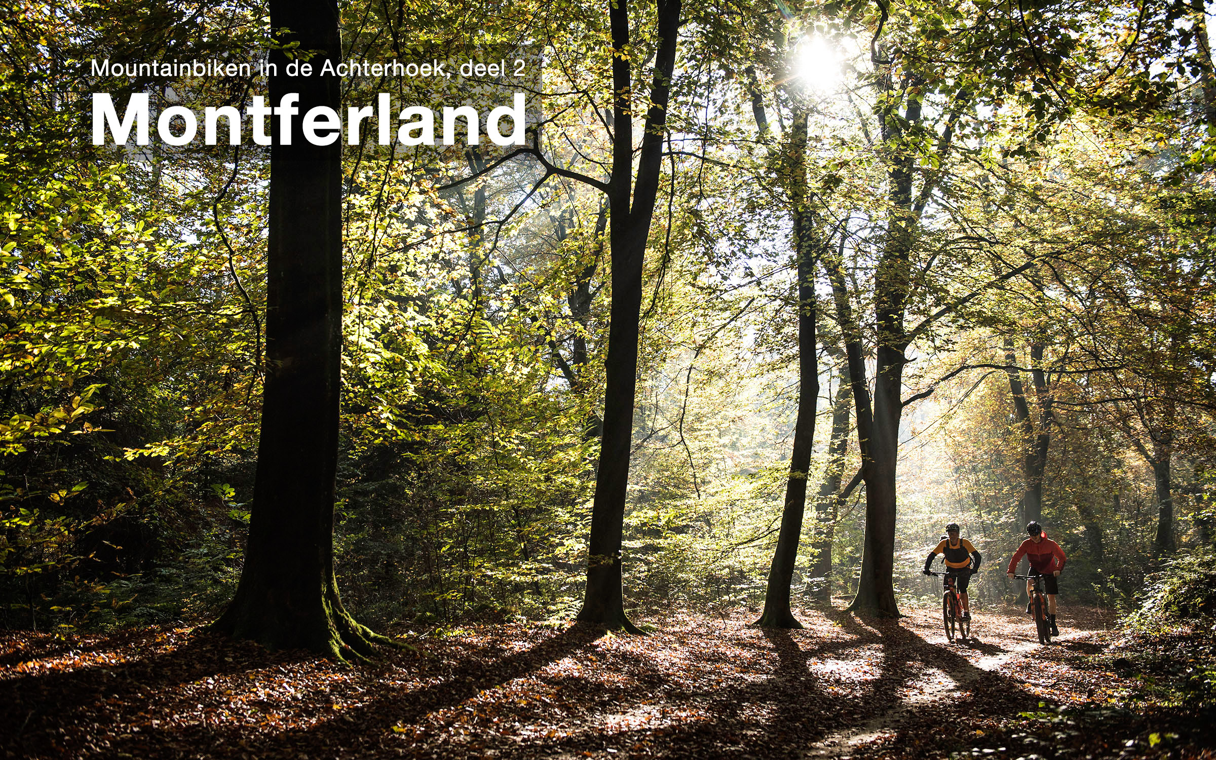 mountainbikeroute Montferland