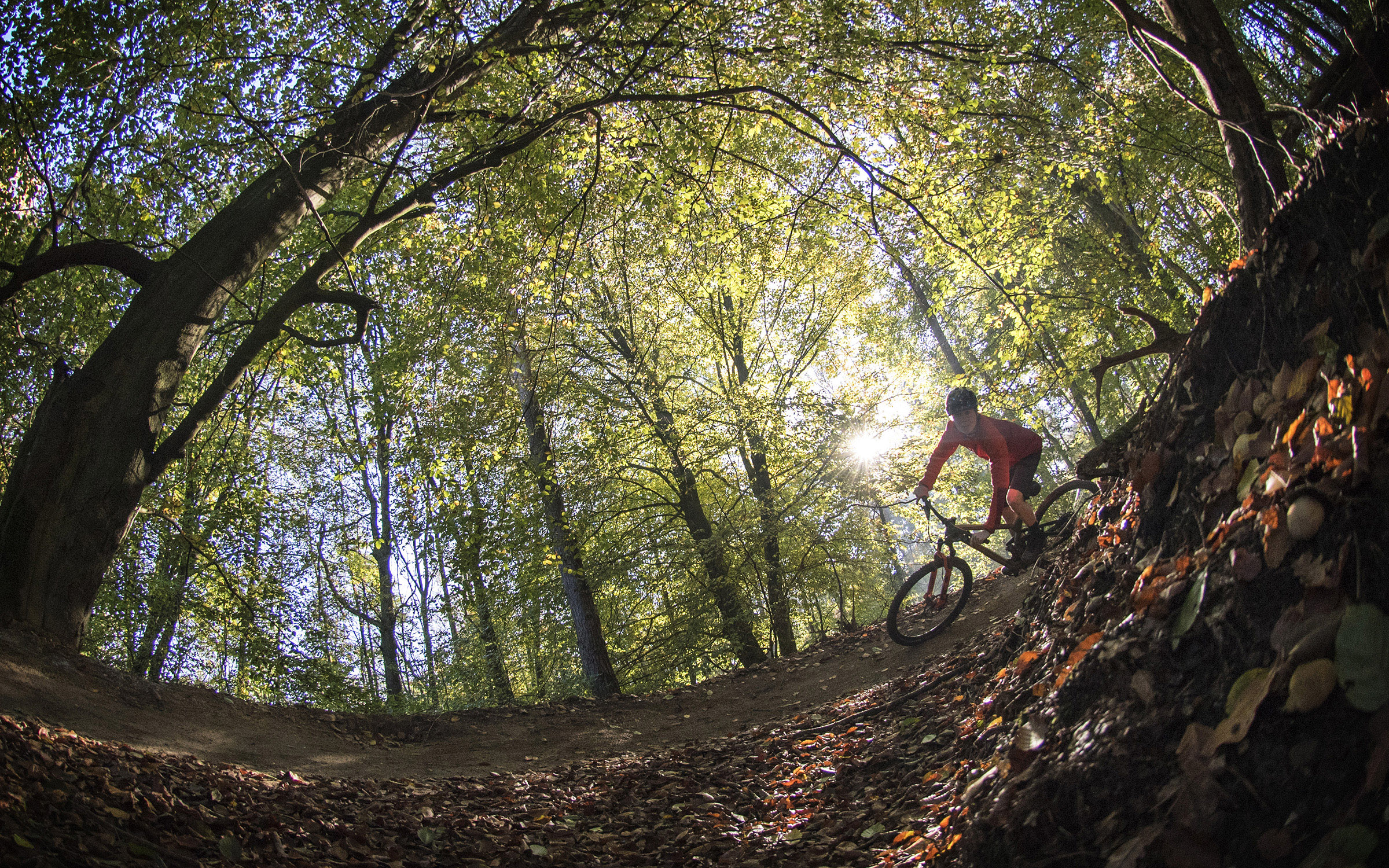 Mountainbikeroute Montferland