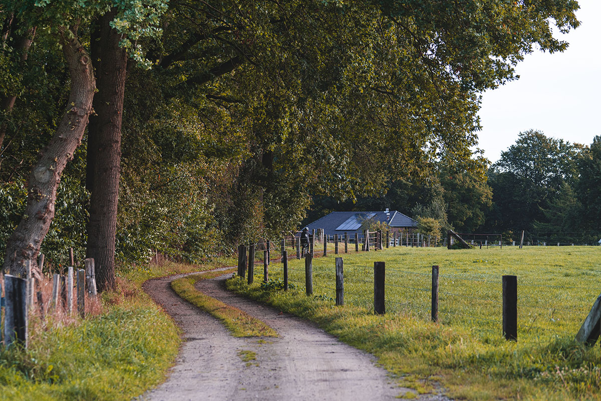 Nederlands Kampioenschap Gravel 2021