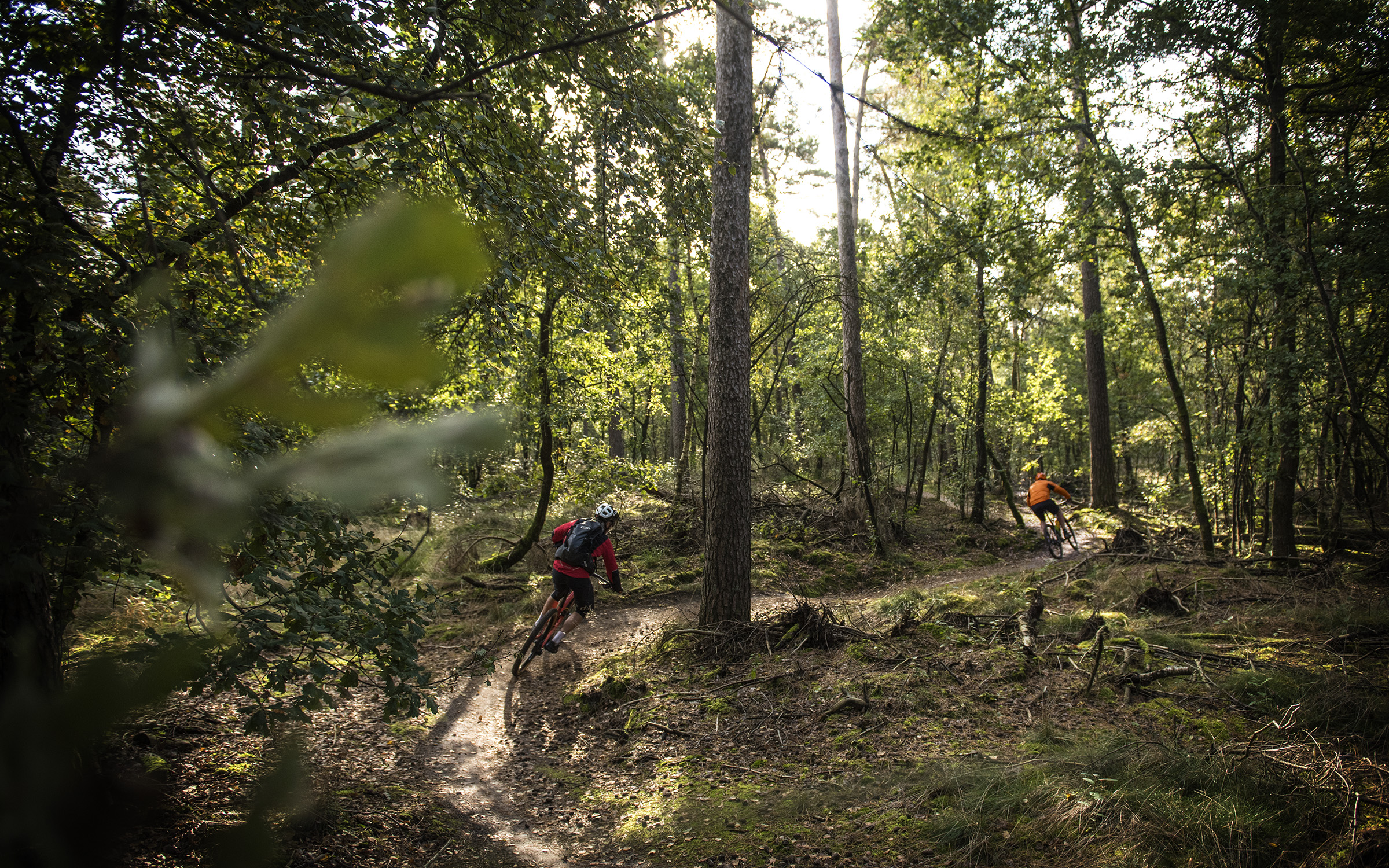 Mountainbikeroutes Achterhoek 