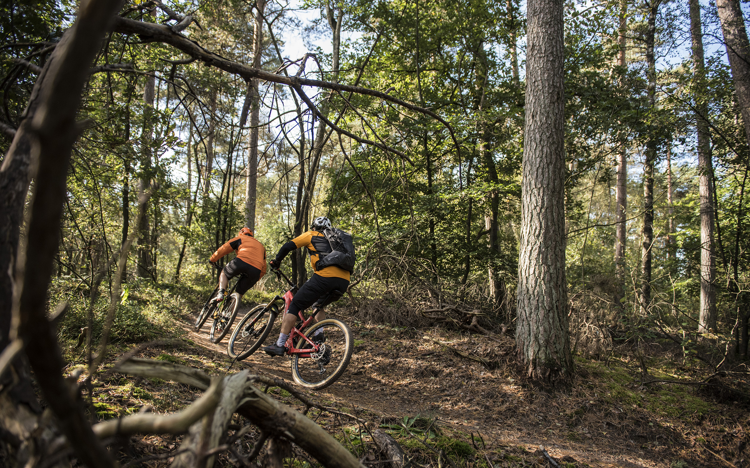 Mountainbikeroutes Achterhoek 