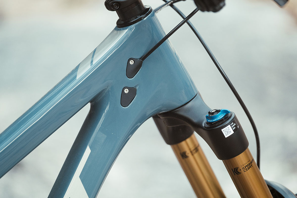 Pivot Shadowcat 2022