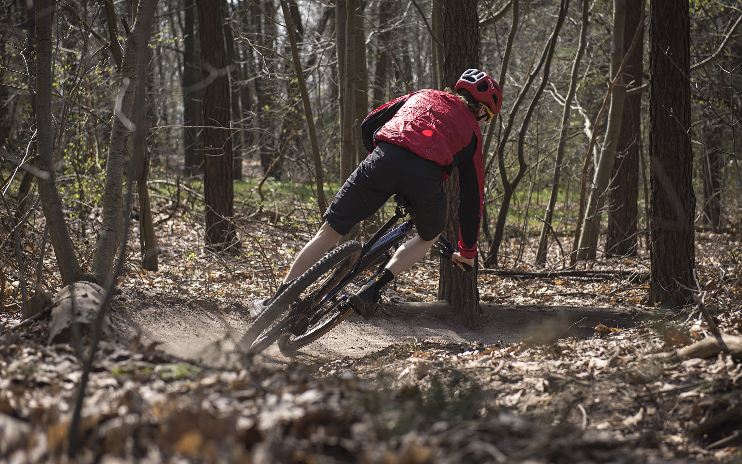 stevens sonora carbon hardtail