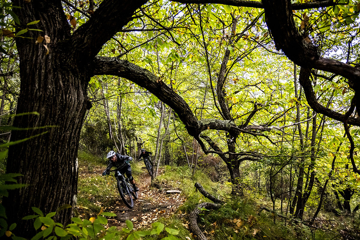 Stone King Touring Club