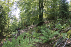 mtb-routes Ardennen