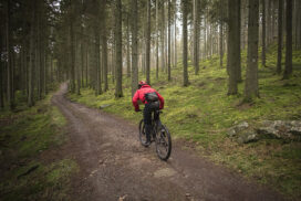 Ost-Belgien_MTB-Route_Wolfsbusch_FMP1791_12x08_bp