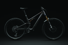 Specialized Stumpjumper 15