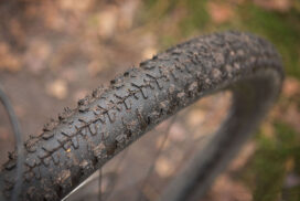 Bontrager-Saint-Anne_480_b