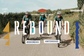 Rebound2025_b