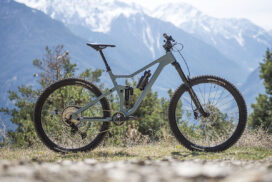 Rose Root Miller_11288_12x08_bp