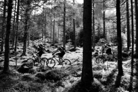 Tussenbomenenbeleid_mtbersgravelbikers_b