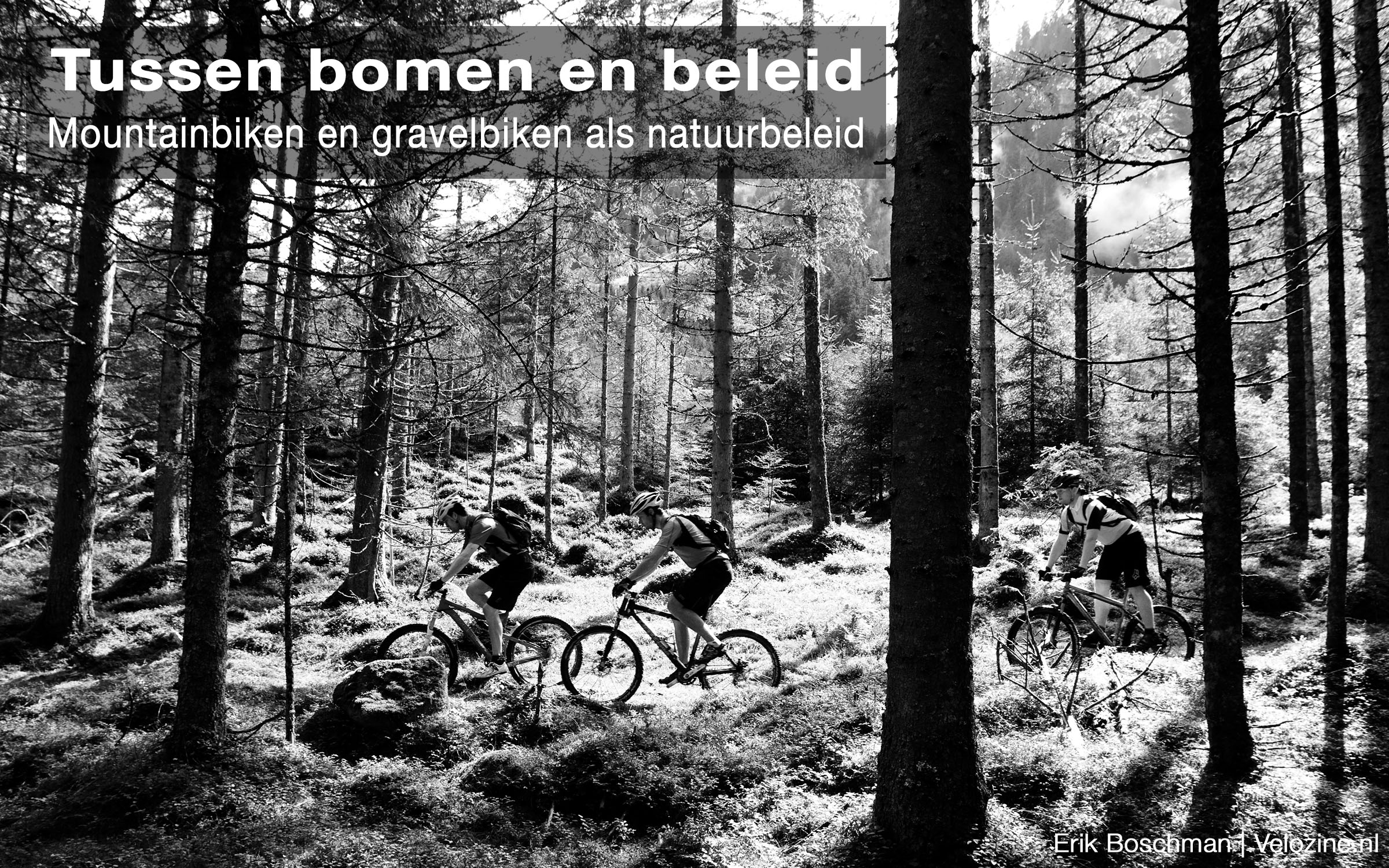 Tussen bomen en beleid: mountainbikers en gravelbikers moeten meer verenigen, samen komen en met één gemeenschappelijke stem aan tafel komen te zitten met natuurorganisaties, gemeenten en natuurbeheerders om belangen te behartigen ten aanzien van natuurbeleid en natuurherinrichting voor behoud van mountainbikeroutes en routes voor gravelbiken.
