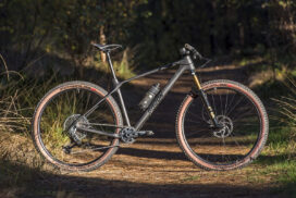 Radon Jealous_15246_12x08_bp