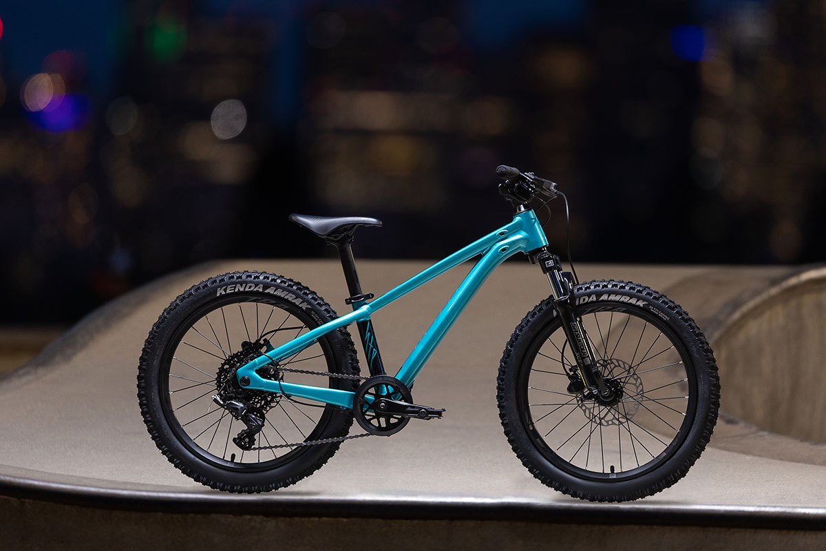 Giant STP 20 FS 20 inch kindermountainbike