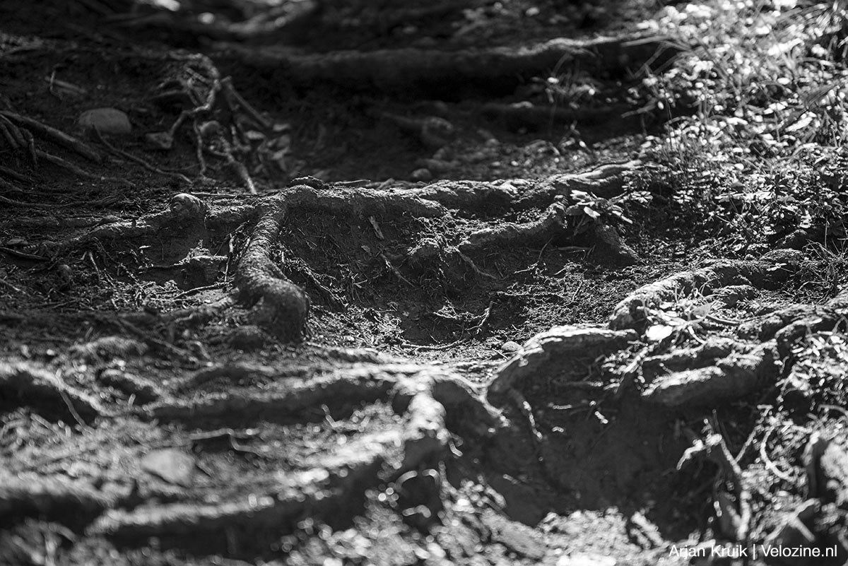 Zwitserland: mountainbiken in het Bike Kingdom – Talloze trails en bikepark