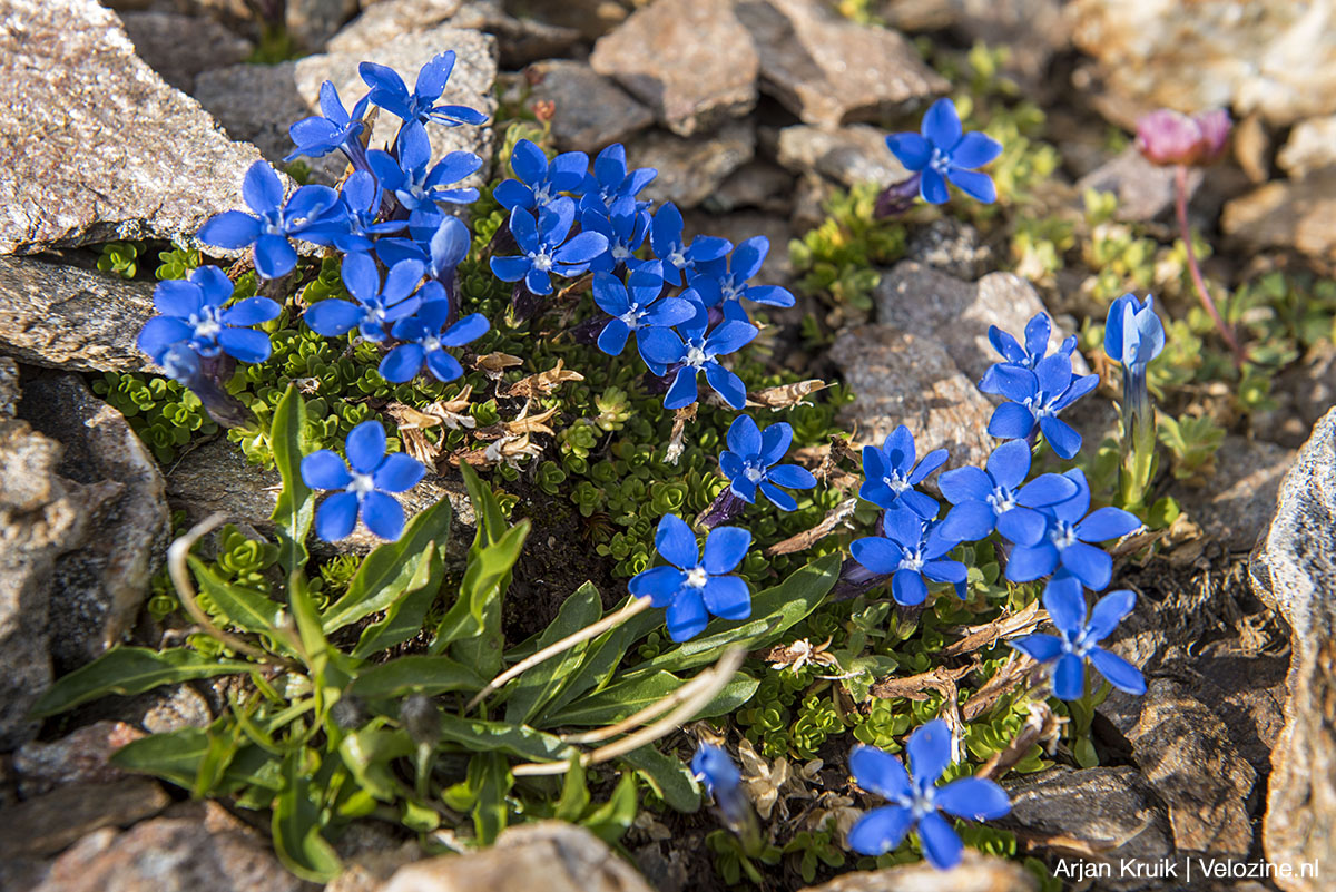 Bike Kingdom Lenzerheide Zwitserland