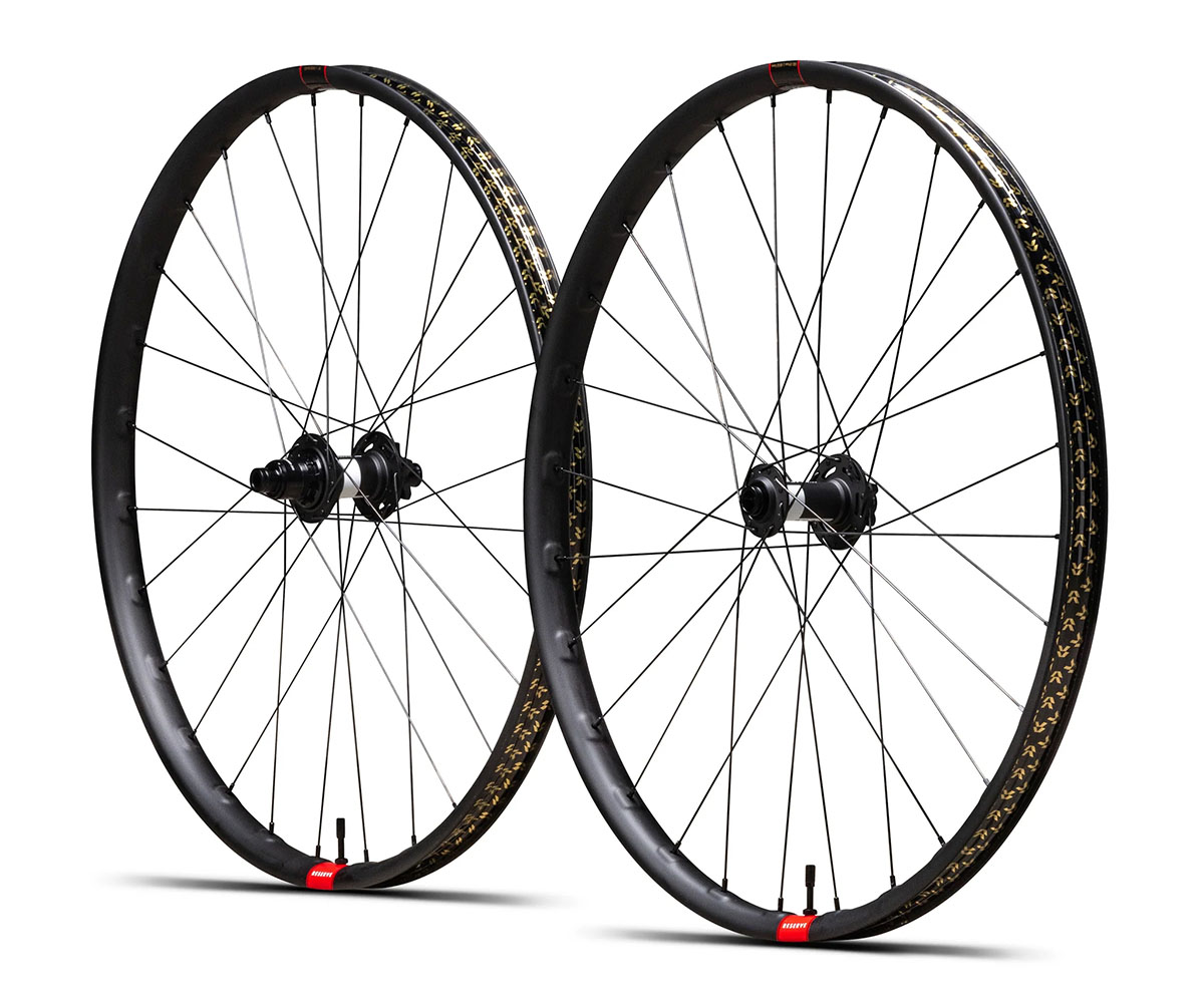 Reserve Wheels levert voortaan standaard met DT Swiss 350 DEG DF tegen pedaalterugslag