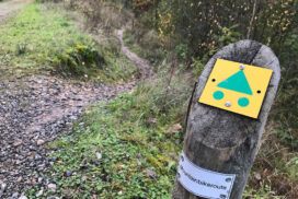 MTBpas: NTFU verlengt verkenning landelijk mountainbikevignet tot eind 2026 MTBpas: NTFU verlengt verkenning landelijk mountainbikevignet tot eind 2026