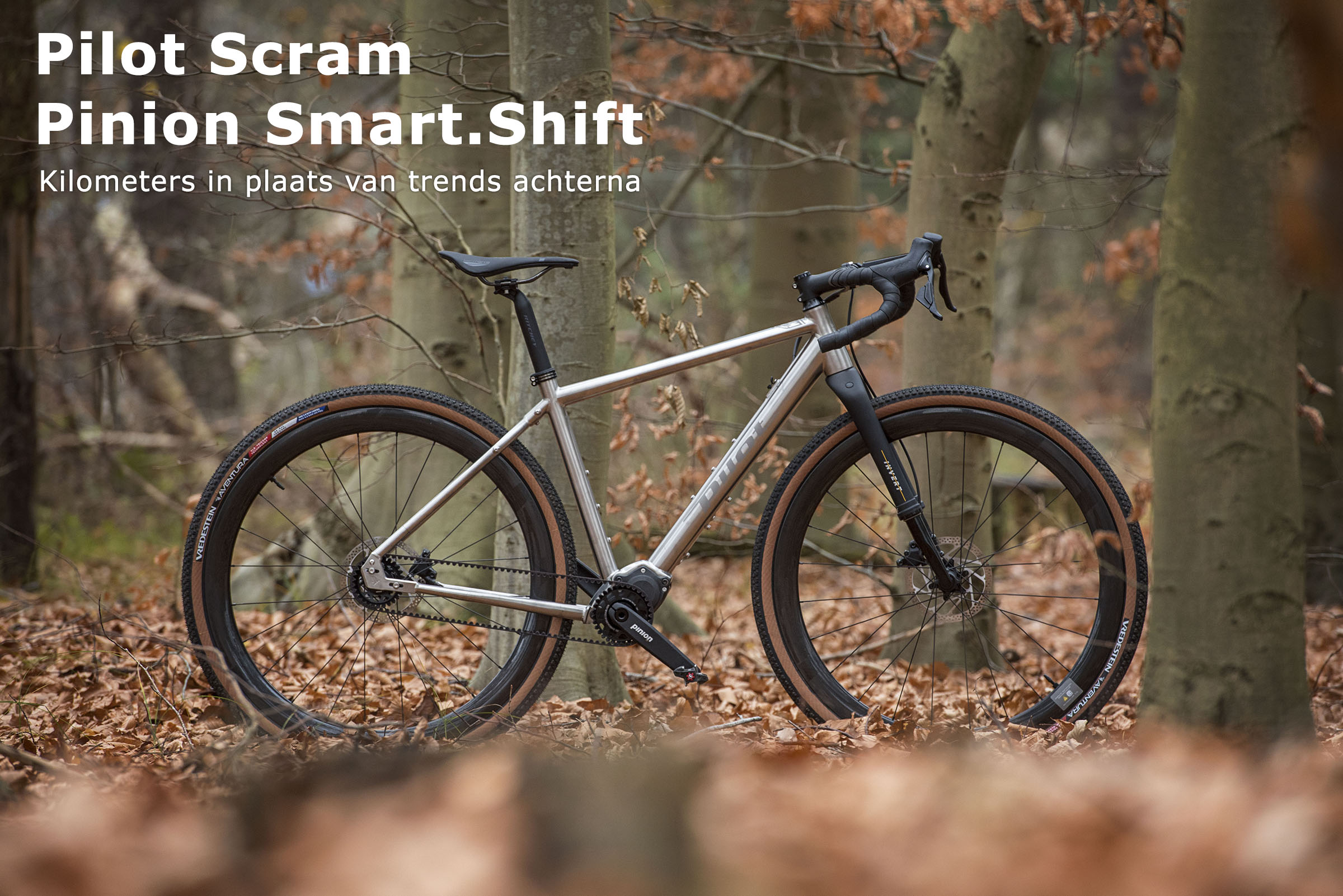 Pilot Scram Pinion Smart.Shift titanium gravelbike