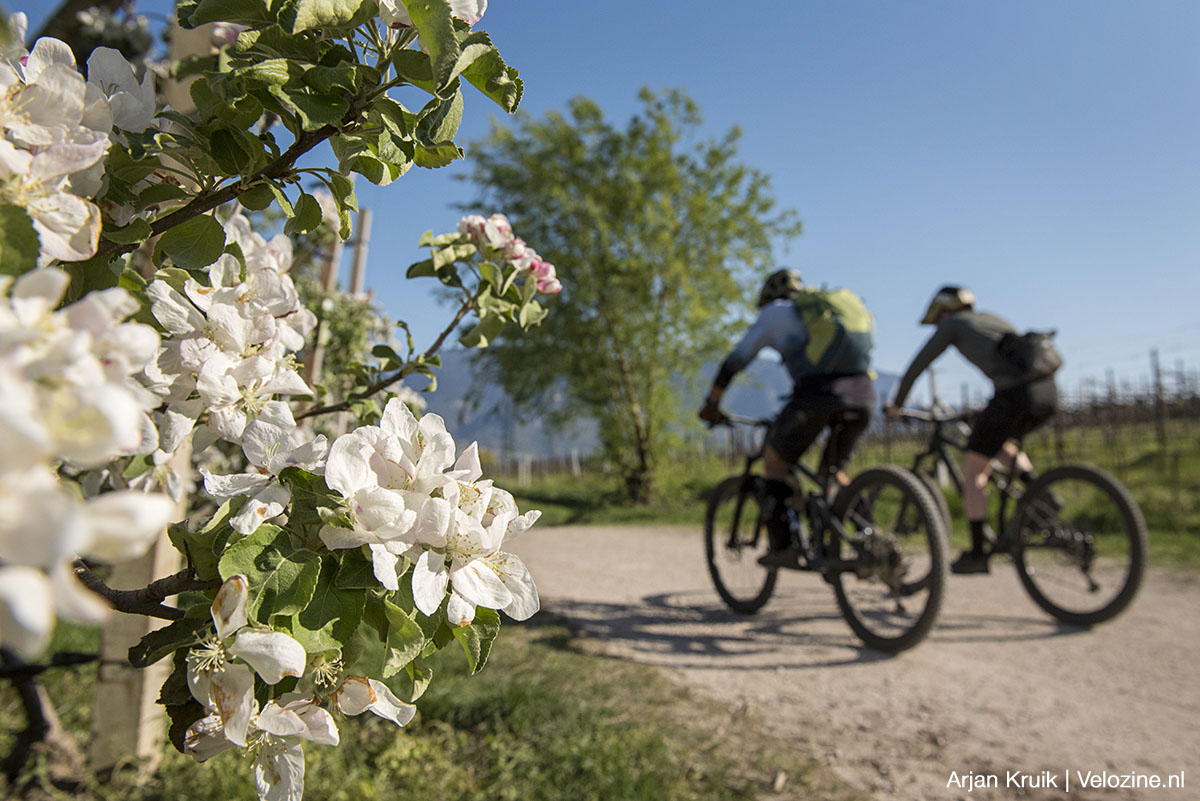 Kalterer See Kurtasch Zuid-Tirol