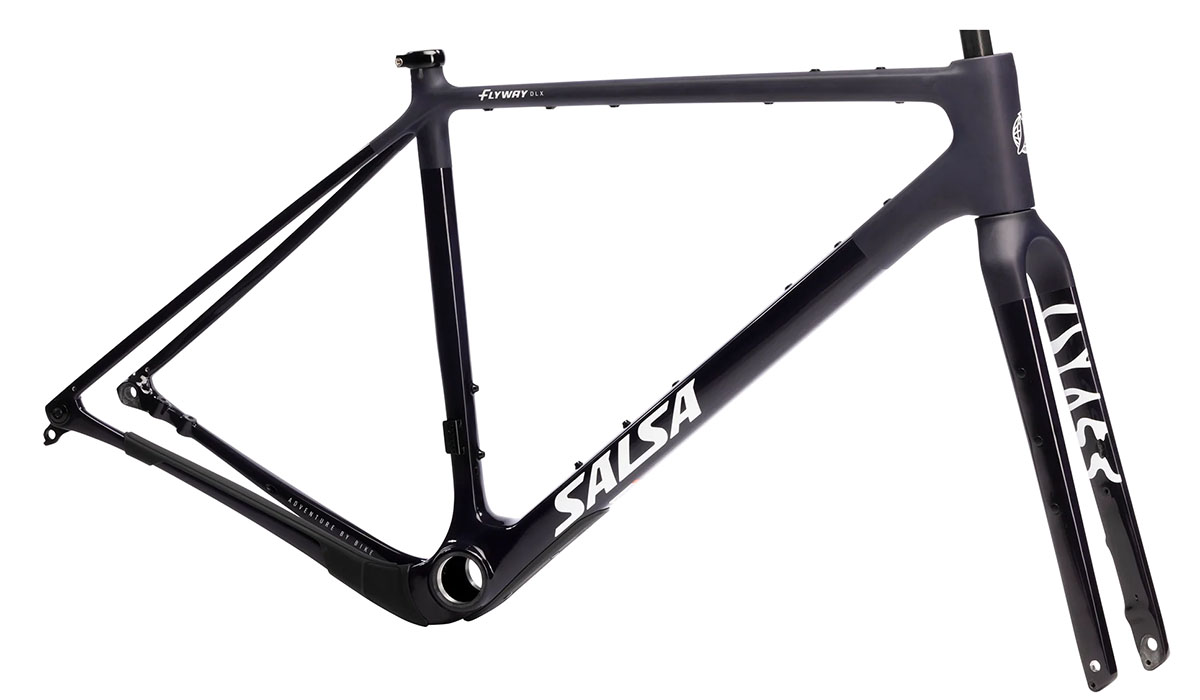 Salsa Flyway DLX frameset
