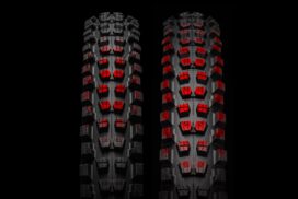 Specialized Butcher en Eliminator Grid Gravity Radial Radiaal karkas