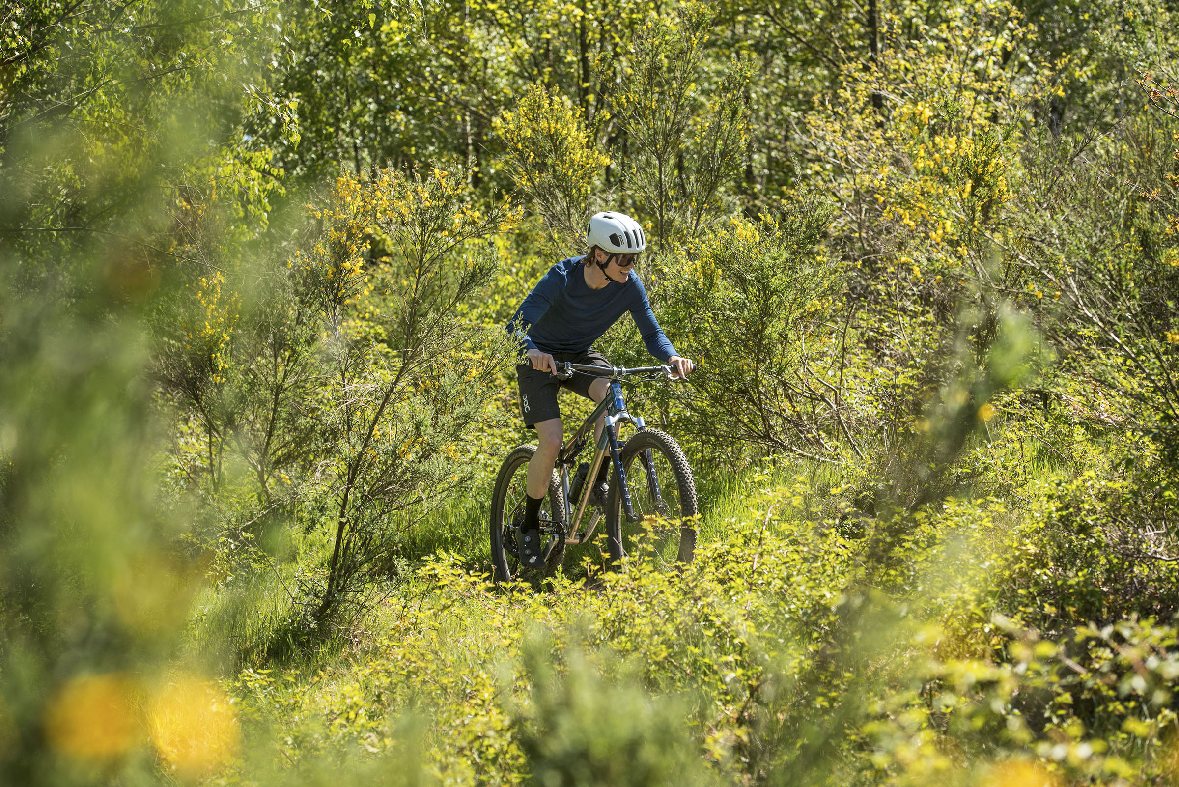 Unpaved Victor
