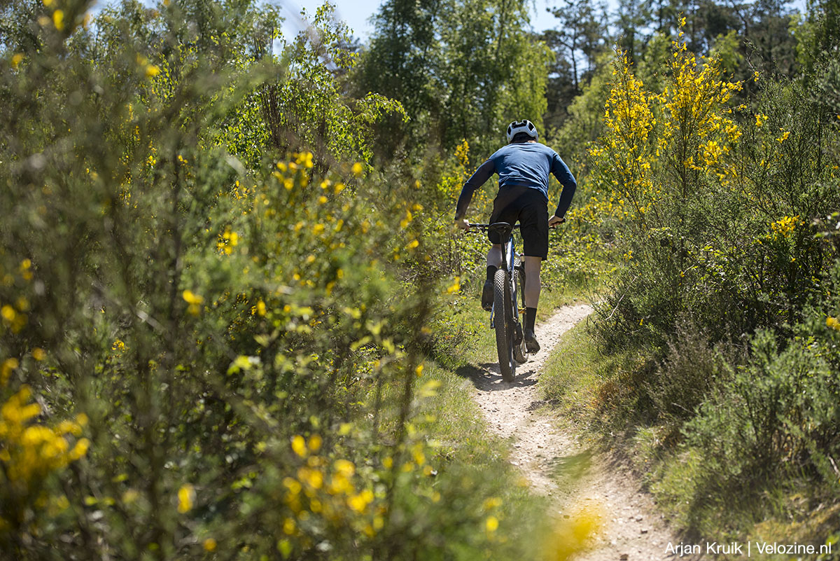 Unpaved Victor