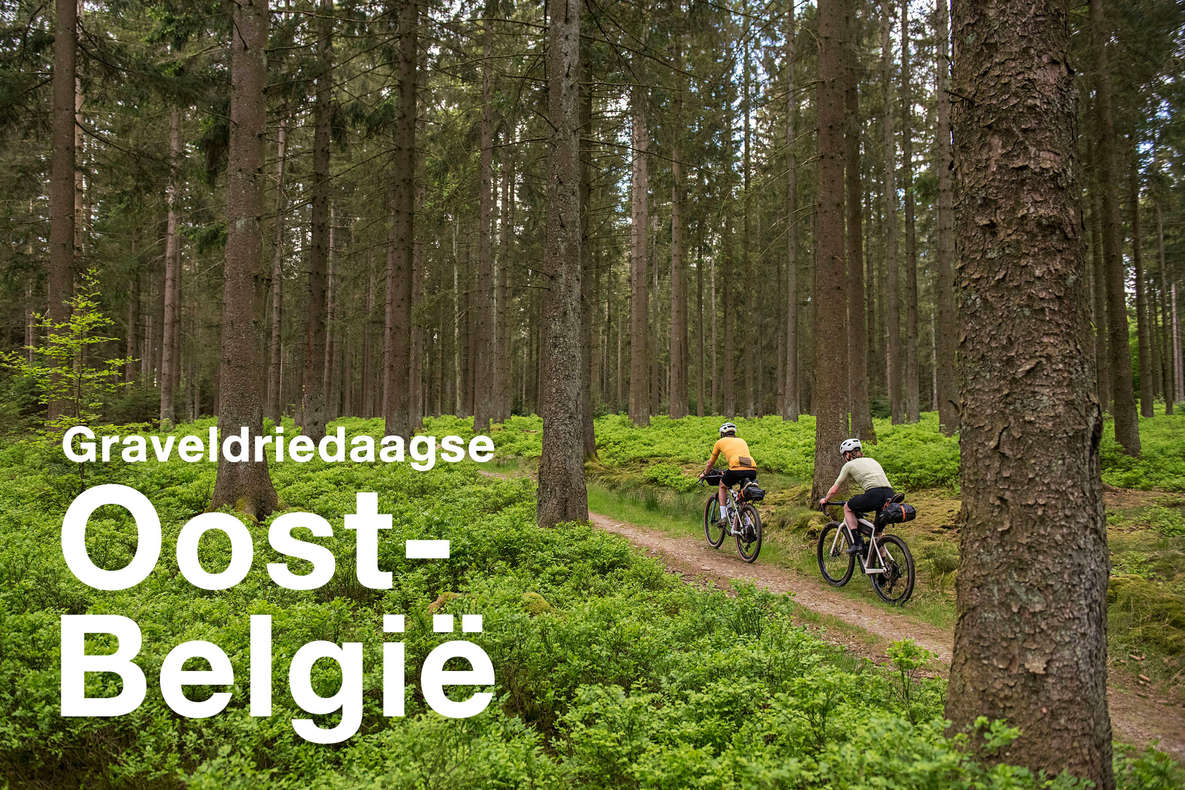 Oost-België Oostkantons Hoge Venen