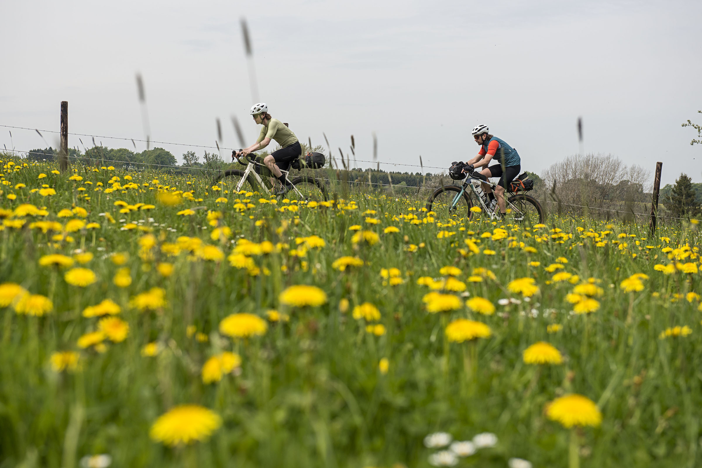 Oost-België Oostkantons Hoge Venen