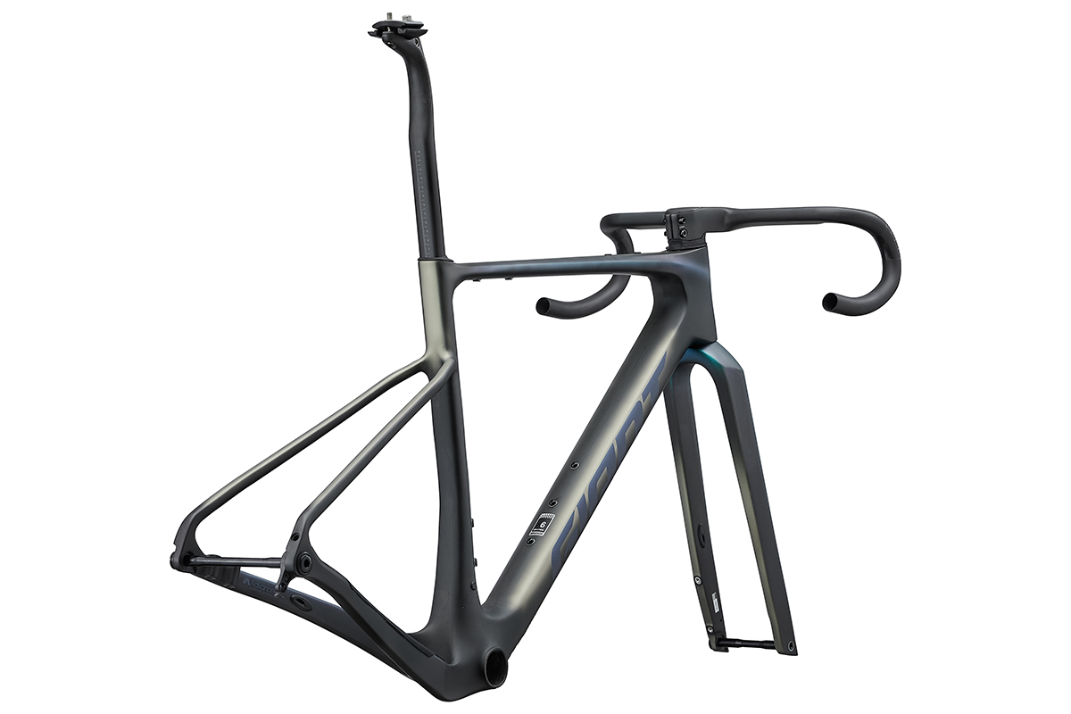 Giant Revolt Advanced SL frameset gravelbike