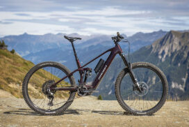 Test e-mountainbike | Radon Recap 8.0 Radon Recap_11629_12x08_bp